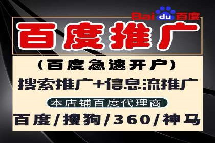 竞价排名失败案例：原因与教训